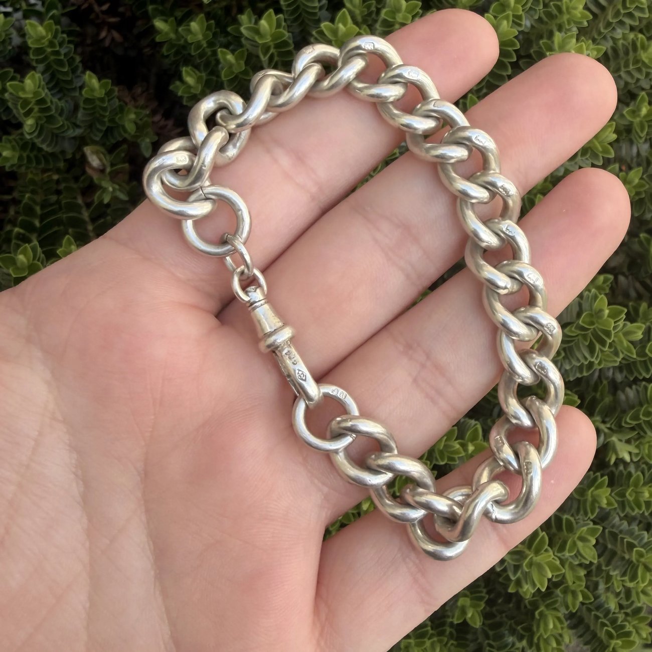 Antique Sterling Silver Curb Link Bracelet Charm Chunky Hallmarked Dog Clip 42g 1903 - 2