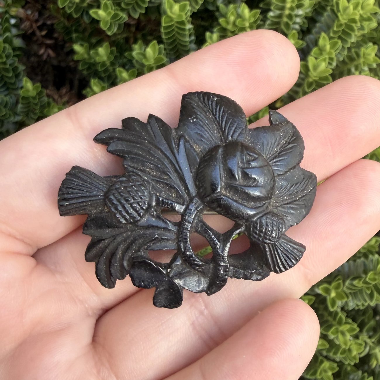 Antique Victorian Irish Bog Oak Brooch Thistle Rose Shamrock - 2